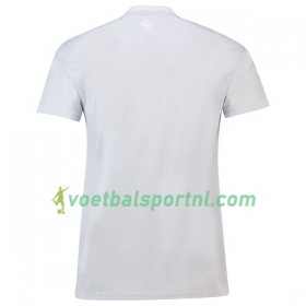 Japan Uit Shirt WK voetbal 2018